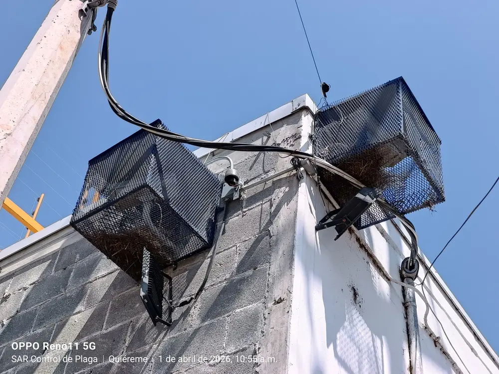 Dos mallas de protección para cámara y reflector con nidos de paloma en su interior